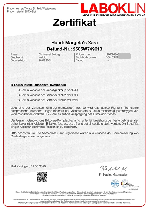 Zertifikat B-Lokus - Margeta's Xara Zertifikat B-Lokus