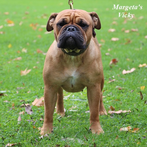 Margeta's Mia